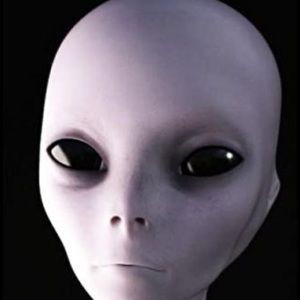 Meet your Posher, Isaiah